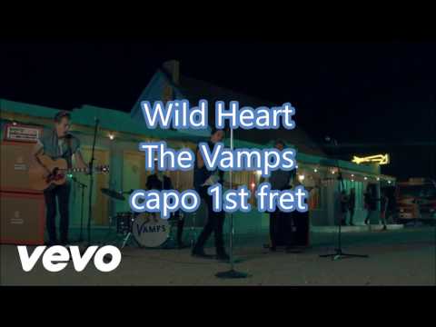 Wildheart - Vamps