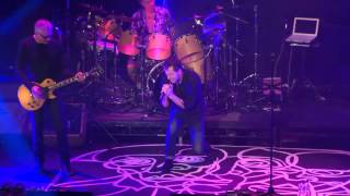 Twelfth Night - We are sane