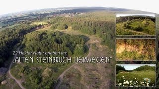 preview picture of video 'Alter Steinbruch Liekwegen von oben'