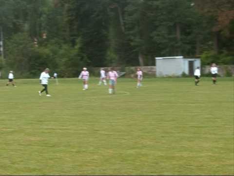 Nezdenicebreznice.wmv