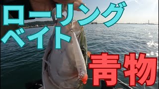 【ローリングベイトで青物！】88・99もインプレしてみた