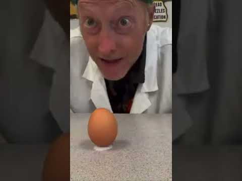 Salt + Egg = a Standing Egg｜True or Fake 07