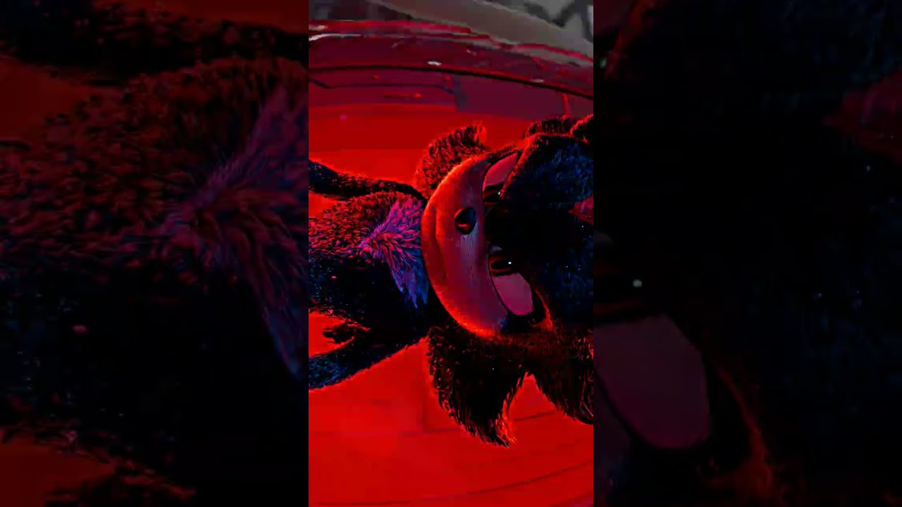 #shadow #sonic #sonic3 #aesthetic #aesthetic