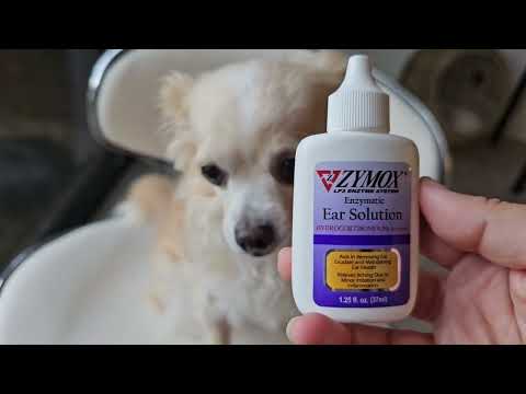 HONEST review of ZYMOX Enzymatic Ear Solution for Dogs
