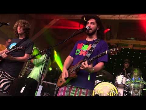 Pigeons Playing Ping Pong w/ The Hornitz - "F.U./Could You Be Loved" - Wild Woods 2015