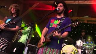 Pigeons Playing Ping Pong w/ The Hornitz - &quot;F.U./Could You Be Loved&quot; - Wild Woods 2015