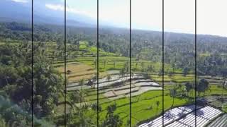preview picture of video 'Wisata Halal Tetebatu lombok| Nice View'