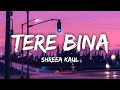 Tere Bina Lyrics - Shreea Kaul