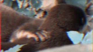 REAL LOVE - Rei Brown