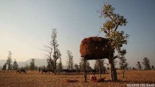 AS06_Music Video_First Draft