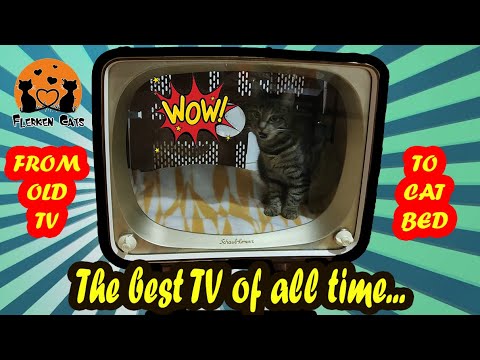 Cat Sleeping Place - DIY from old TV to CAT bed