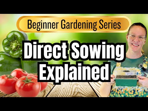 🌱 Direct Sowing Explained | Beginner Gardening Series Video #7