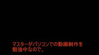 紲星あかり　テスト１