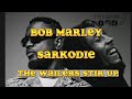 Bob Marley Ft Sarkodie The wailers-Stir it up.