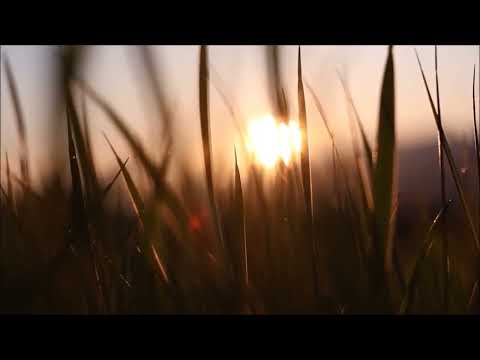 PSALM 42/43  Sehnsucht nach dem lebendigen Gott