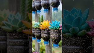 Vertical Garden Ideas With Plastic Bottles Easy and Cheap DIY 🌷🌿