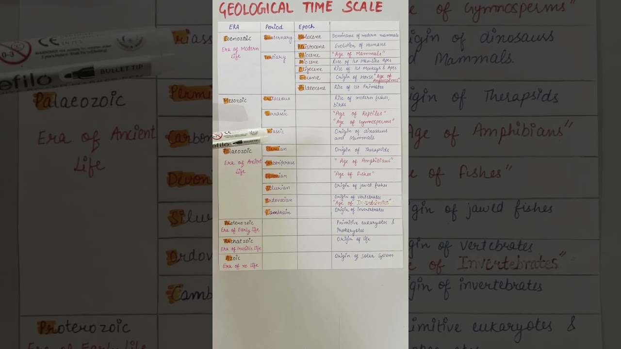 Geological time scale #evolution #upsczoology #biology