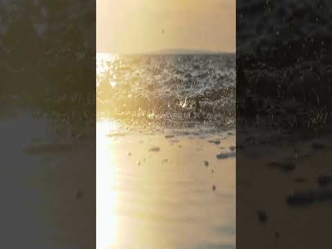 🎶🎶#Musica Fumaratto x Mauricio Palacio x Raulito Fabregas Ft Kairy Estamos Melos