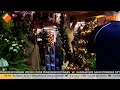 Eerste kerstbomen al verkocht: 'Mensen willen wat extra gezelligheid in huis'