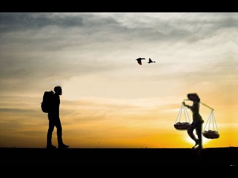 Đón đưa trong chiều - Hồng Tước