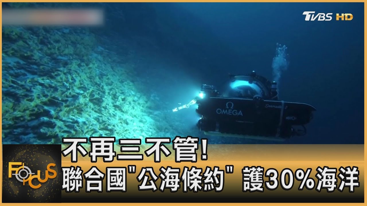 不再三不管!聯合國「公海條約」護30%海洋