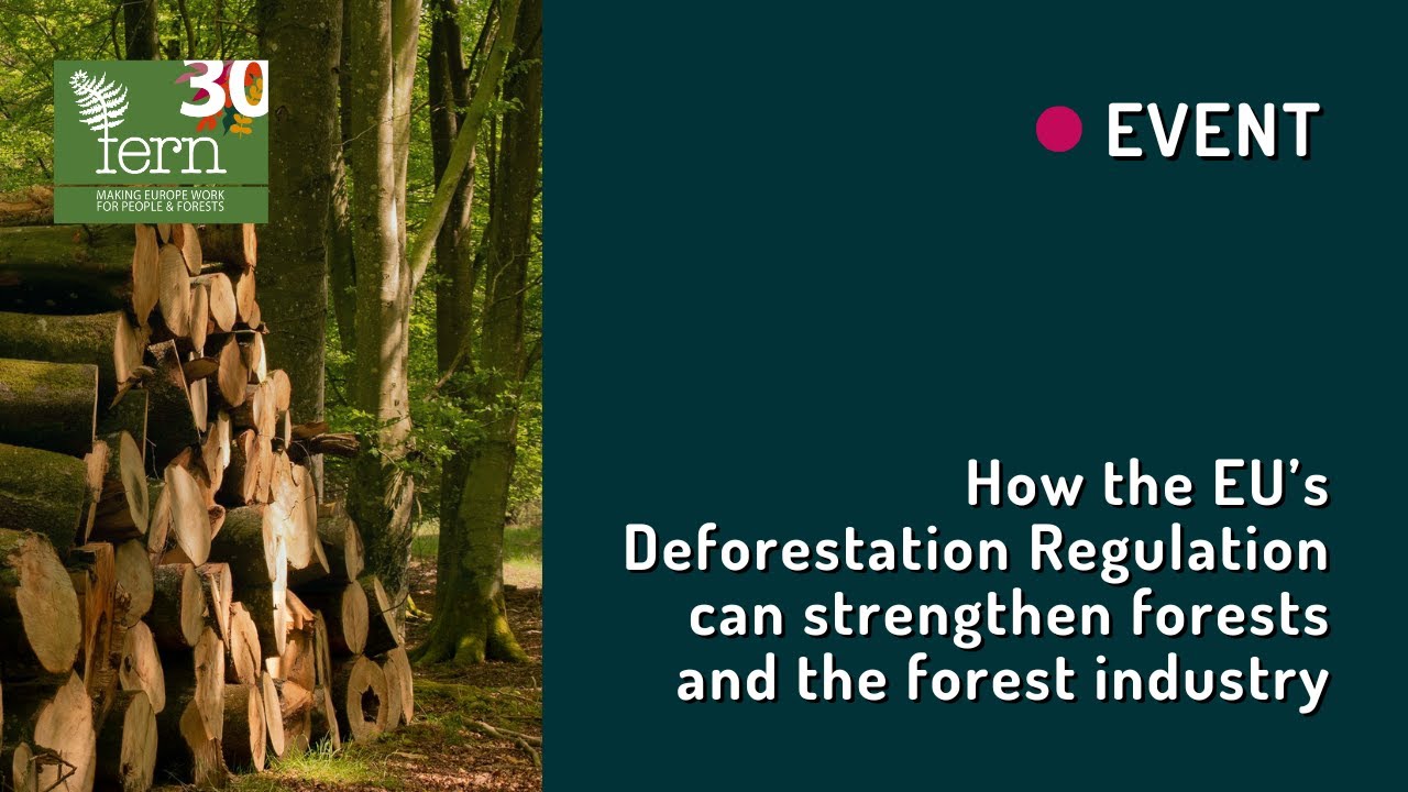 How the EU’s Deforestation Regulation can strengthen forests and the forest industry