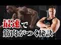 【筋トレ】筋肉をつけるためにはゆっくり体重を増やしていくべき?落ちにくい筋肉の付け方