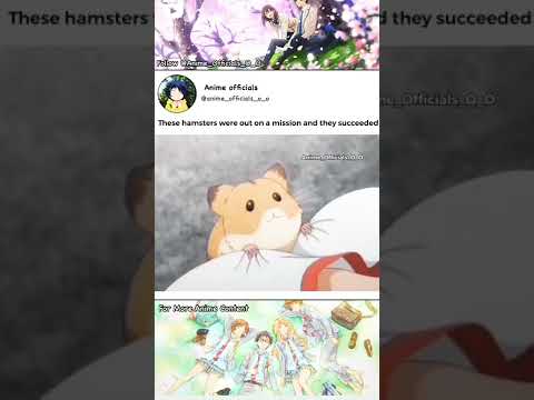 HAMSTER 🐹 STOLEN BRA AND UNDERWA®E 😂😂🤣🤣 #anime || #success