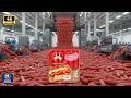 You Can T Imagine How Sausages Are Made In The Factory Manufactured World