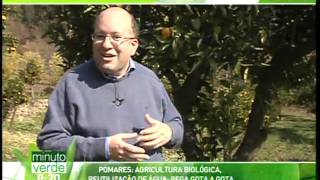 preview picture of video 'Agricultura Biológica Hotel Rural Quinta de Bispos'