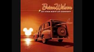 Brian Wilson   Can you feel the love tonight