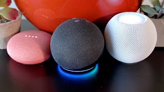 HomePod Mini vs Nest Mini vs Echo Dot: A battle of entry-level smart speakers