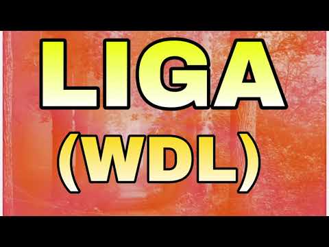 Martin Garrix vs Afrojack vs Dua Lipa - Own Prisoners and Animals Games (Dj Molino Mashup)