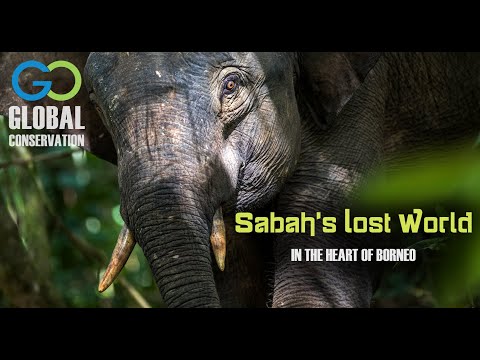 Sabah's Lost World - In the Heart of Borneo