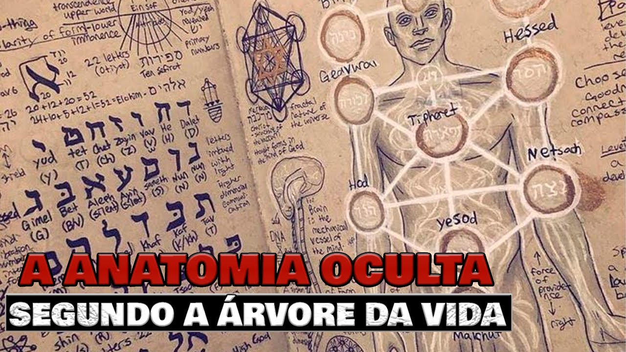 Os 7 corpos dimensionais do ser humano.