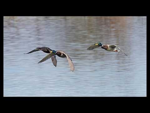 6 Minuten Februar 2026