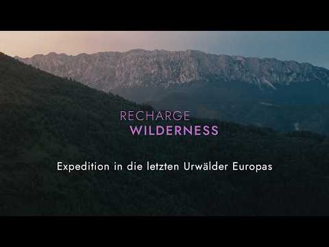 Expedition into Europe's last primeval forests | Recharge Wilderness