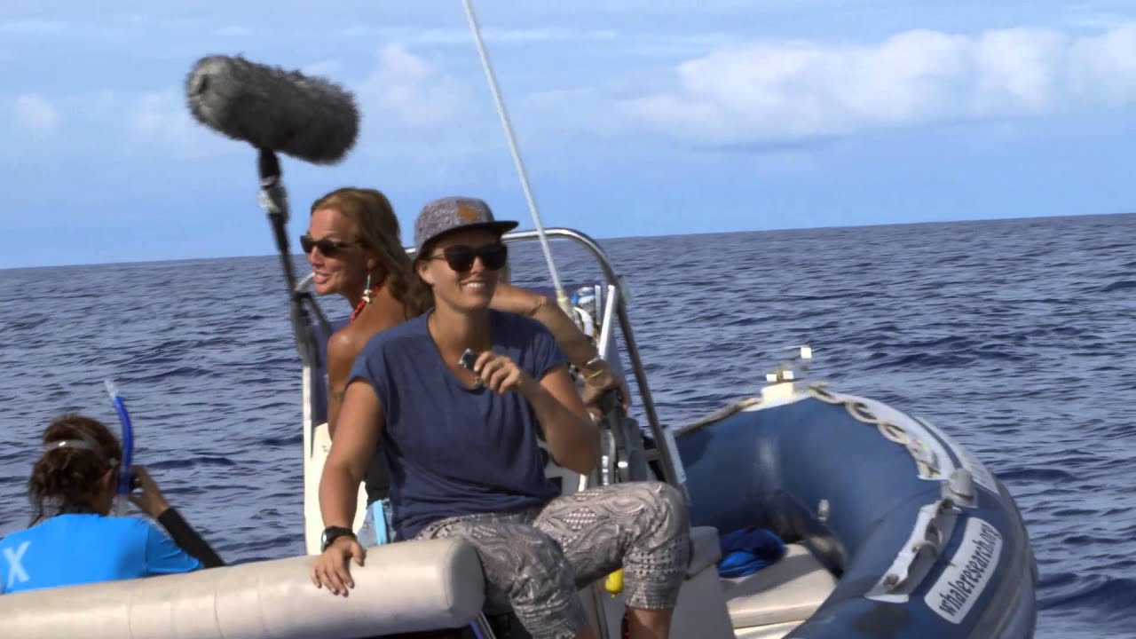 HUMPBACK WHALES - YOUNG OCEAN EXPLORERS Video facade placeholder