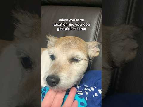 Asya got sick while I was gone 🥺