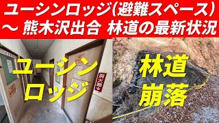 【丹沢の秘境】休業中のユーシンロッジ 緊急避難スペース・ユーシン渓谷上流域 林道  玄倉ダム ～ 熊木沢出合 最新状況 2025年3月23日