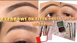 EYEBROW TUTORIAL FOR BEGINNERS | BUSHY BROWS vs BROWS ON FLEEK | BY LIZ CINCO MAKEUP ARTIST
