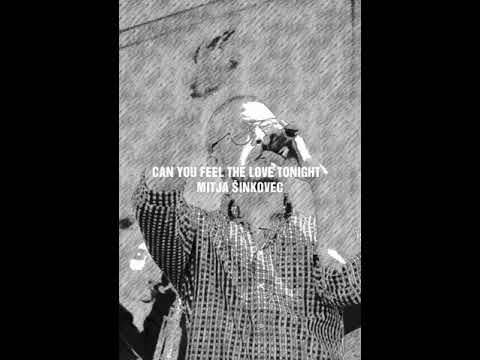 CAN YOU FEEL THE LOVE TONIGHT - MITJA ŠINKOVEC ( Elton John )