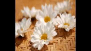 Natureza das penas e gozos futuros - Livro dos Espiritos