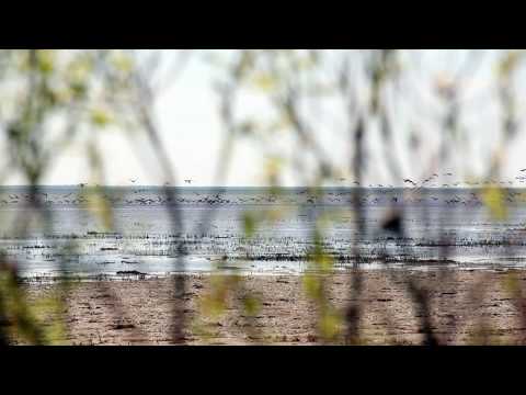 Minute Mai by BIOBAZAR -test canon T2i 550D rebel T2i- chillout ambient music