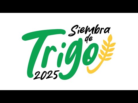 Siembra de Trigo 2025