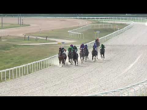 2019.07.21. 08. futam - VADÁSZ ÉS VERSENYLAP HENDIKEP (V/b.) (szintetikus pálya)