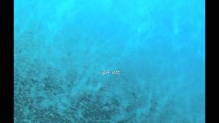 Fenómeno del mucílago (baba) en el litoral de la Región de Murcia 23 07 2013