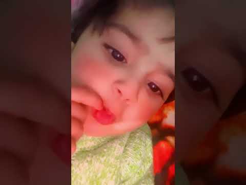 Animals sounds 🐈🐎🦮 | Musfirah ki awaz main #animals #funny #cute