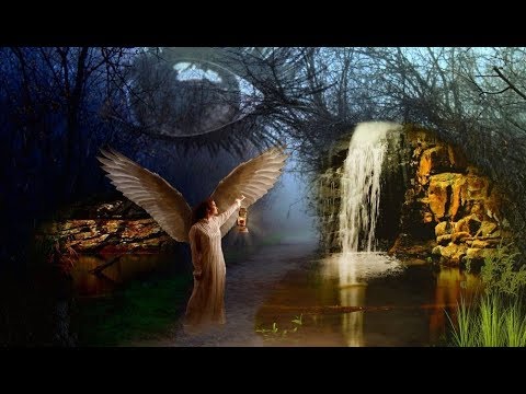 Survive by Jimmy Buffett