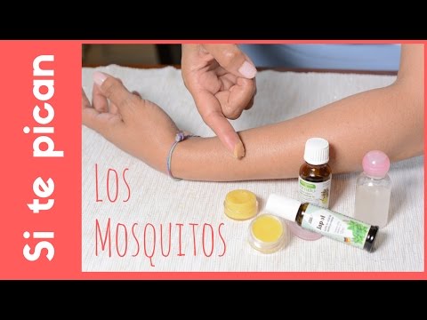 Crema y gel para calmar las molestias de las picadas de los mosquitos